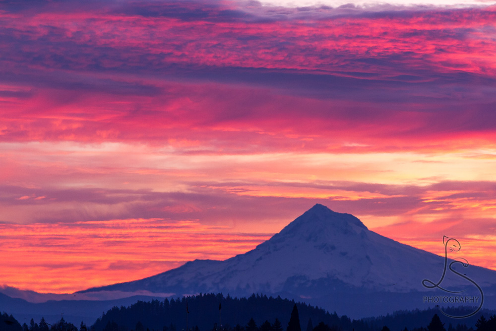 A Pacific Northwest sunrise paints the sky in vibrant pinks behind Mount Hood
