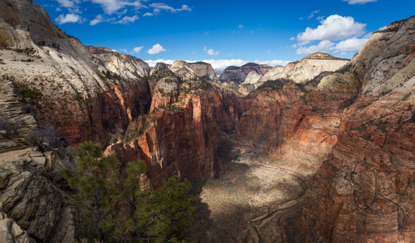 The Zion valley floor from atop the Angels Landing hike with the canyon walls dappled in spotty sunlight