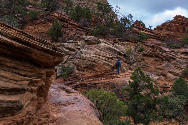 Photostory: Canyon Overlook | LotsaSmiles Photography | Click through to read all about our exciting adventure hiking in the dark and shooting a Zion sunrise in the rain!
