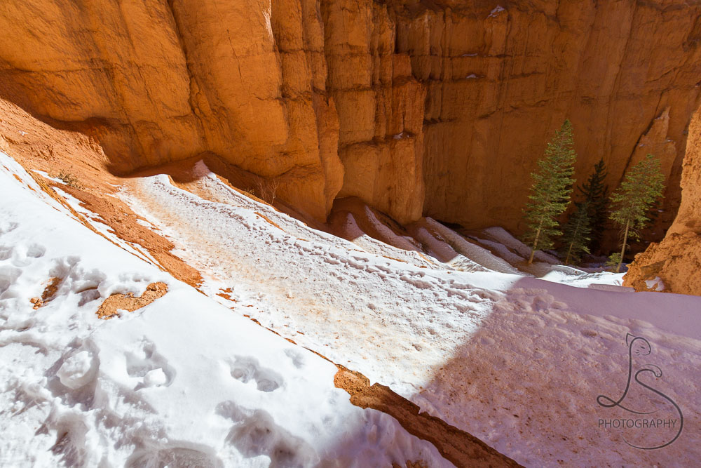 The snowy steps of switchbacks along a Bryce Canyon hike | LotsaSmiles Photography
