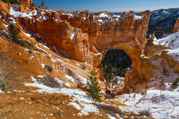 The Natural Bridge arch in Bryce Canyon | LotsaSmiles Photography