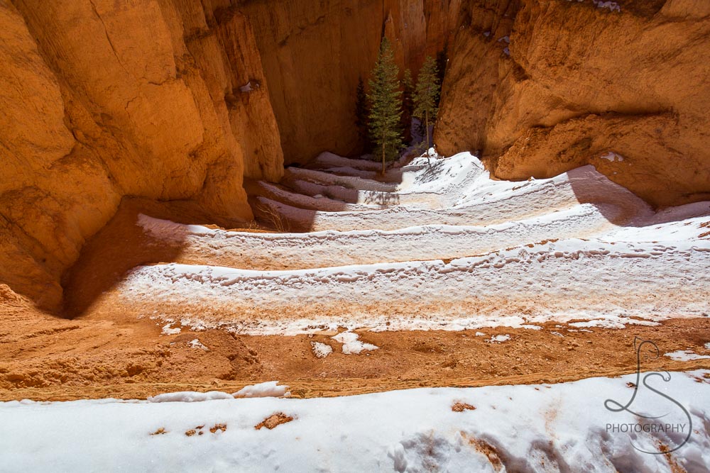 Layers of snowy switchbacks, viewed from above | LotsaSmiles Photography
