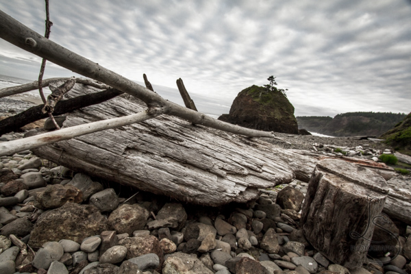 Large driftwood logs on a rocky beach under fishscale clouds | LotsaSmiles Photography