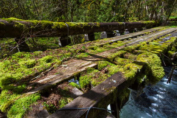 Mossy remains of an old bridge | LotsaSmiles Photography
