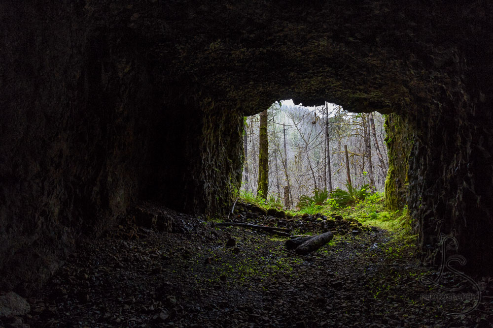 Looking out from a dark tunnel to the mossy forest beyond | LotsaSmiles Photography