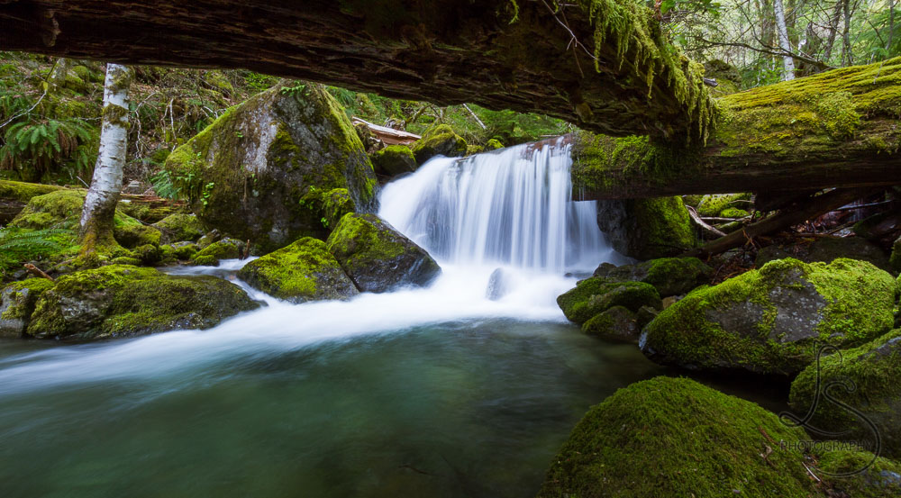 An Oregon waterfall is framed by fallen mossy logs