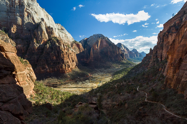 Zion's beautiful valley, viewed near the top of the Angels Landing trail | LotsaSmiles Photography