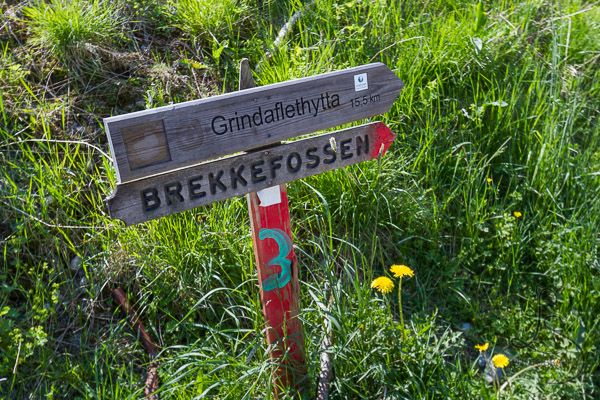 Wooden sign denoting the direction to the trail to Brekkefossen | LotsaSmiles Photography