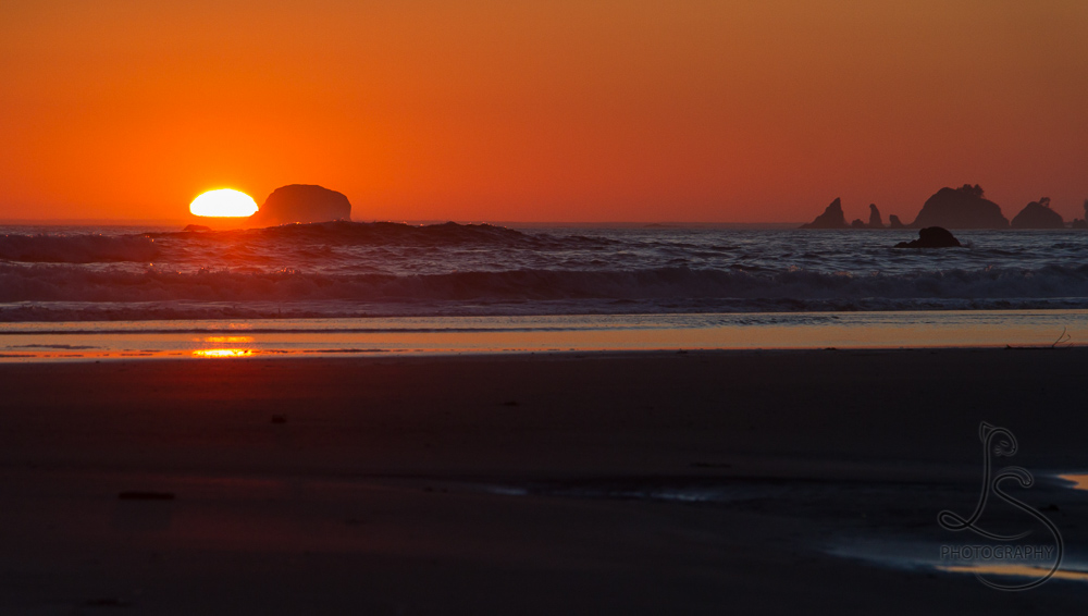 Sun setting on the Washington coast in Olympic National Park | LotsaSmiles Photography