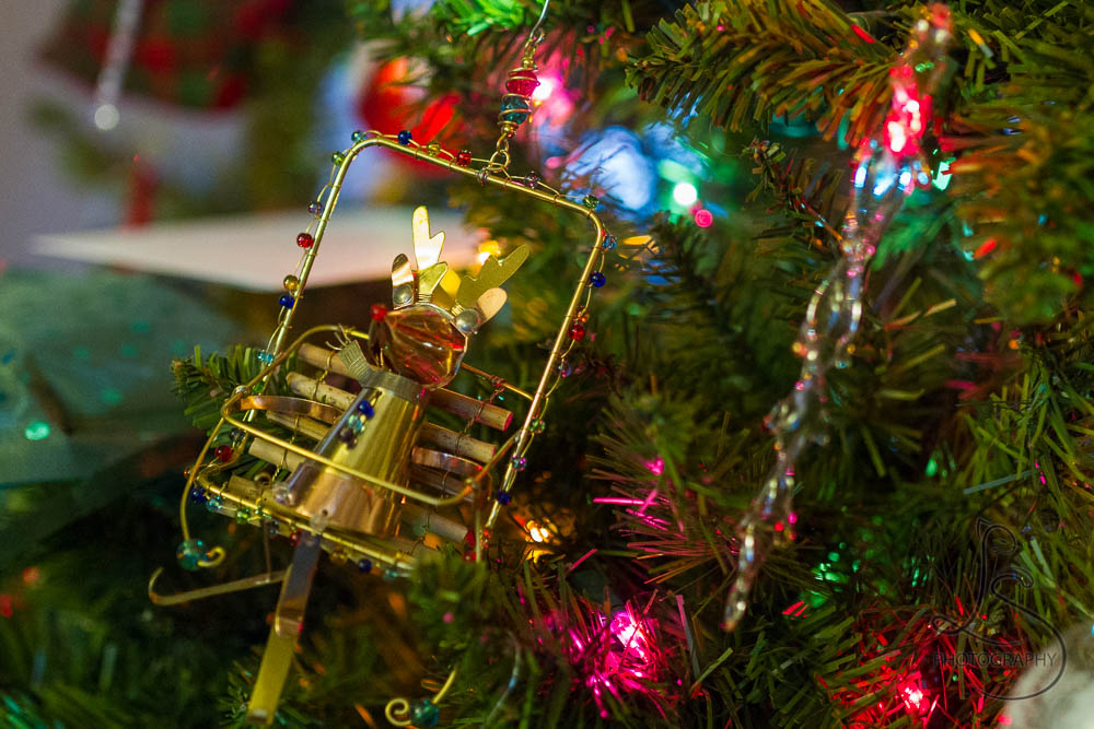 Reindeer ornament on a Christmas tree | LotsaSmiles Photography