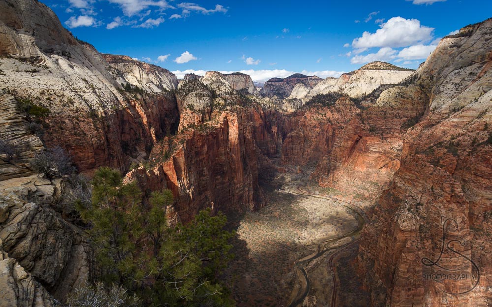 A few puffy clouds dapple the valley, viewed from atop the famous Angels Landing in Zion National Park