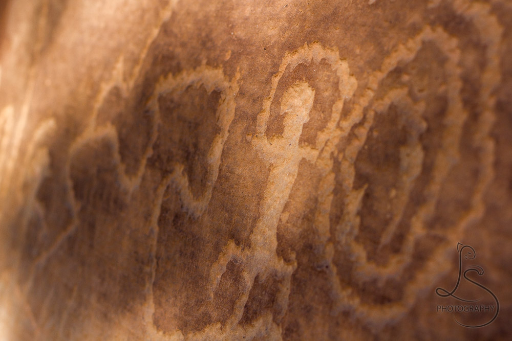 Petroglyphs in Mesa Verde National Park | LotsaSmiles Photography